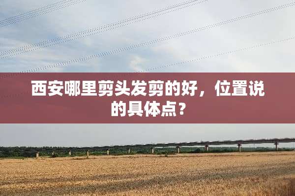 西安哪里剪头发剪的好，位置说的具体点？