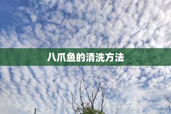 八爪鱼的清洗方法