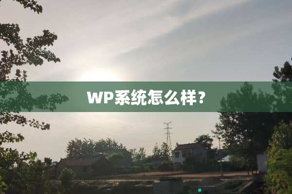 WP系统怎么样？