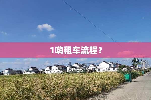 1嗨租车流程？