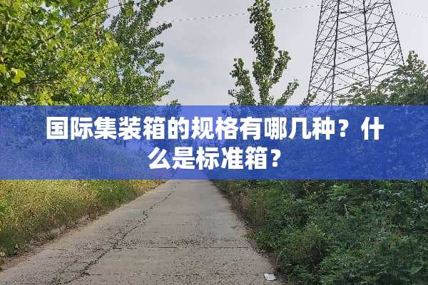 国际集装箱的规格有哪几种？什么是标准箱？