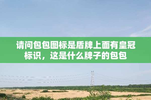 请问包包图标是盾牌上面有皇冠标识，这是什么牌子的包包