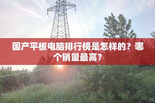 国产平板电脑排行榜是怎样的？哪个销量最高？
