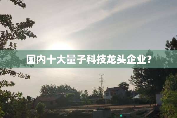 国内十大量子科技龙头企业？