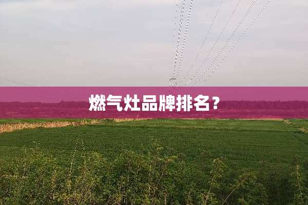 燃气灶品牌排名？
