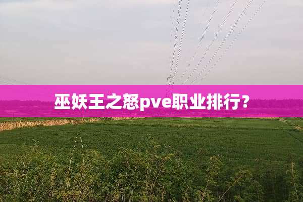 巫妖王之怒pve职业排行？
