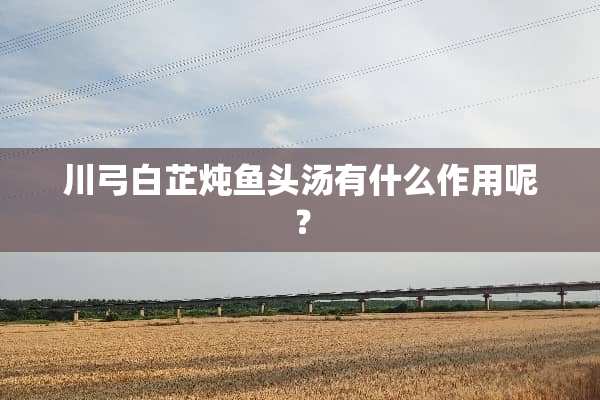 川弓白芷炖鱼头汤有什么作用呢？