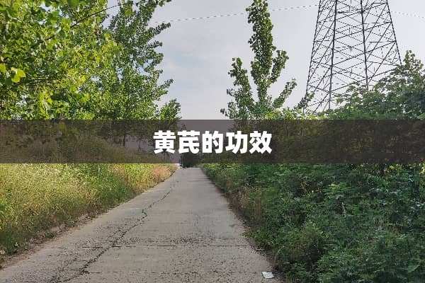 黄芪的功效