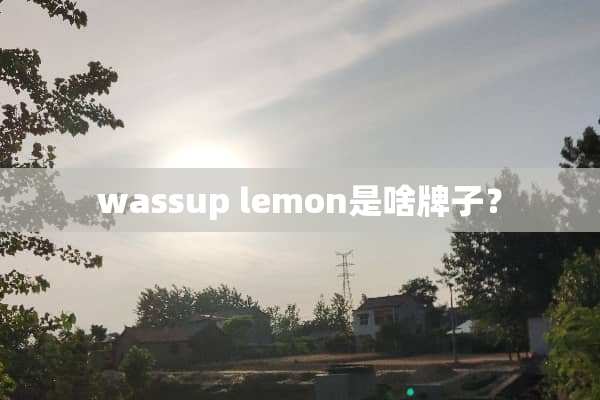 wassup lemon是啥牌子？