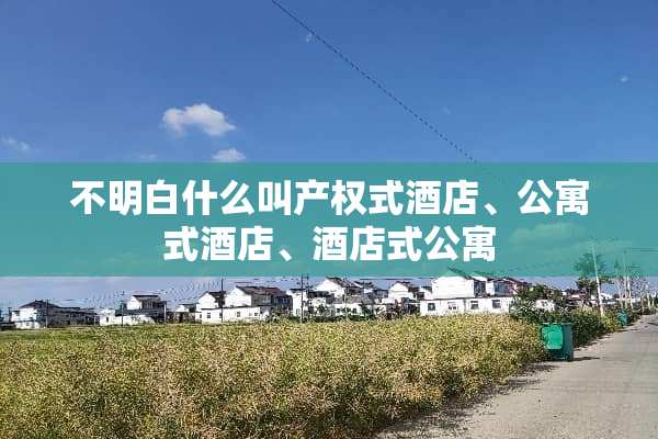 不明白什么叫产权式酒店、公寓式酒店、酒店式公寓