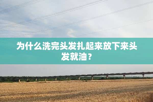 为什么洗完头发扎起来放下来头发就油？