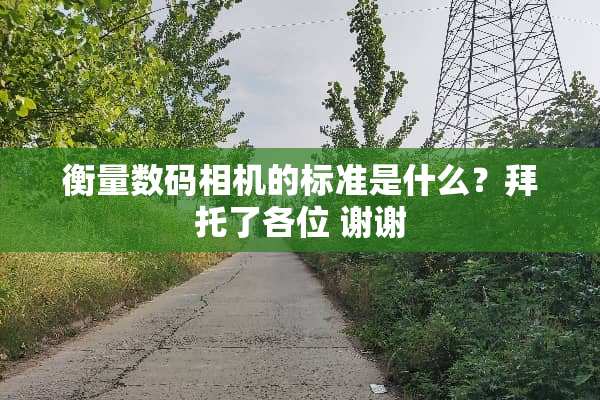 衡量数码相机的标准是什么？拜托了各位 谢谢