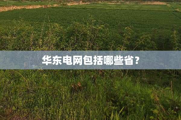 华东电网包括哪些省？