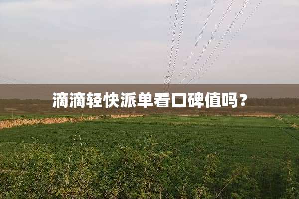 滴滴轻快派单看口碑值吗？
