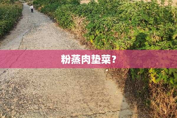 粉蒸肉垫菜？