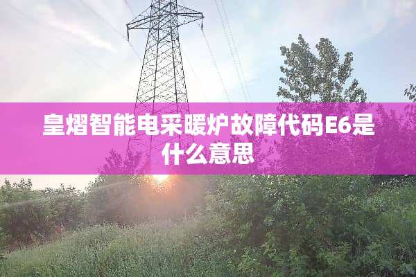 皇熠智能电采暖炉故障代码E6是什么意思