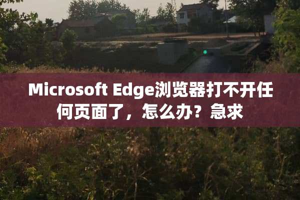Microsoft Edge浏览器打不开任何页面了，怎么办？急求