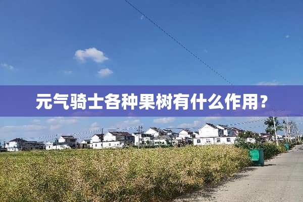 元气骑士各种果树有什么作用？