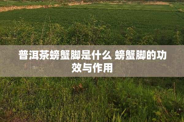 普洱茶螃蟹脚是什么 螃蟹脚的功效与作用