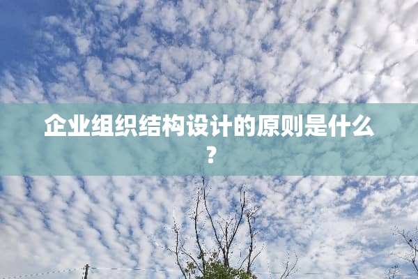 企业组织结构设计的原则是什么？
