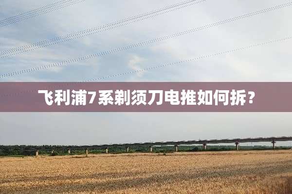 飞利浦7系剃须刀电推如何拆？