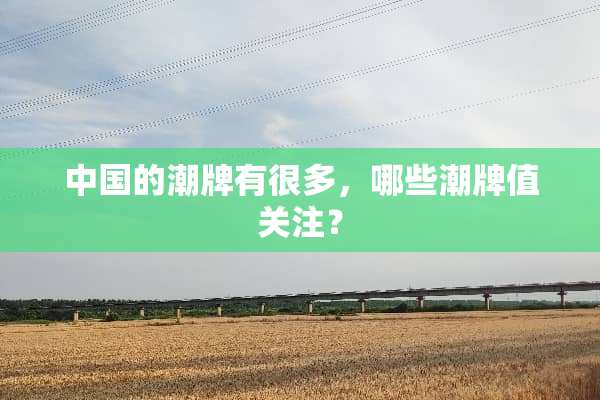 中国的潮牌有很多，哪些潮牌值关注？