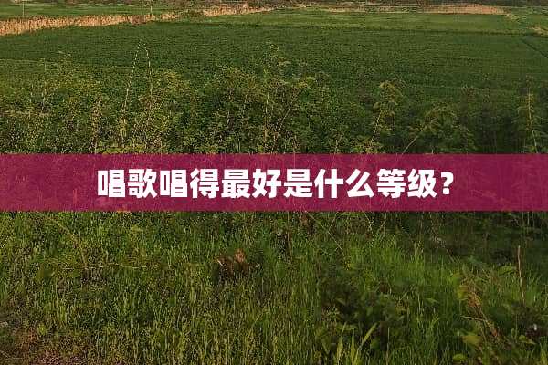 唱歌唱得最好是什么等级？