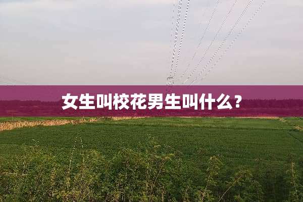 女生叫校花男生叫什么？