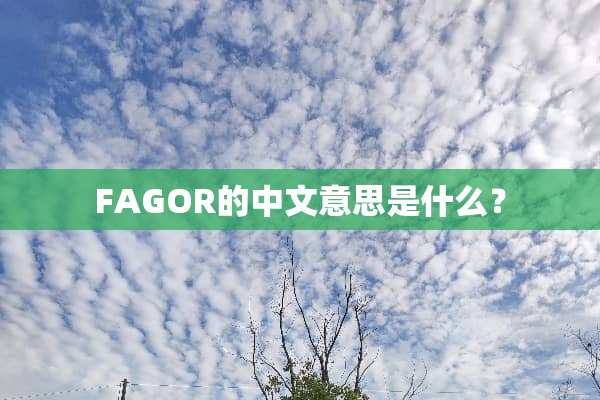 FAGOR的中文意思是什么？