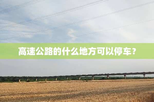 高速公路的什么地方可以停车？