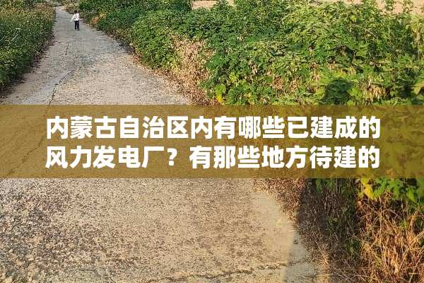 ***自治区内有哪些已建成的风力发电厂？有那些地方待建的？