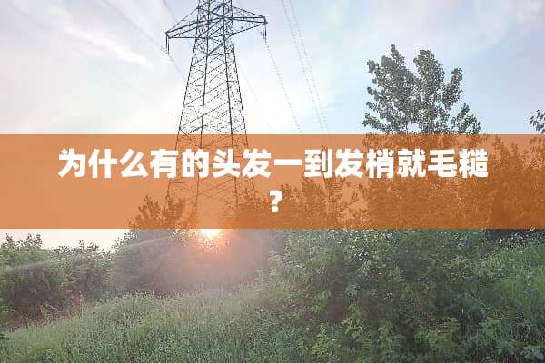 为什么有的头发一到发梢就毛糙？