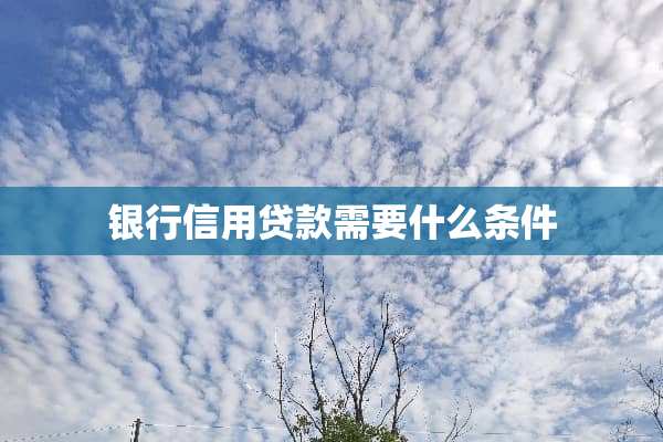 银行信用贷款需要什么条件