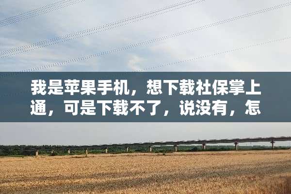 我是苹果手机，想下载社保掌上通，可是下载不了，说没有，怎么下能下载呢？