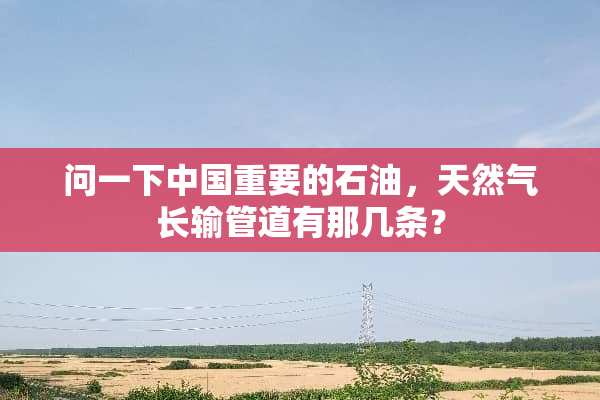 问一下中国重要的石油，天然气长输管道有那几条？