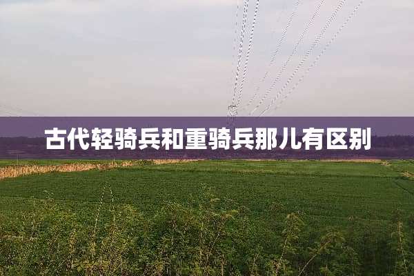 古代轻骑兵和重骑兵那儿有区别