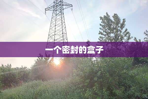 一个密封的盒子