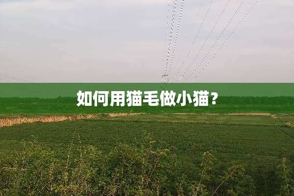 如何用猫毛做小猫？