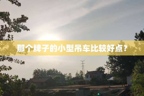 那个牌子的小型吊车比较好点？