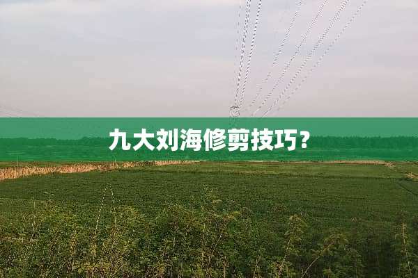 九大刘海修剪技巧？