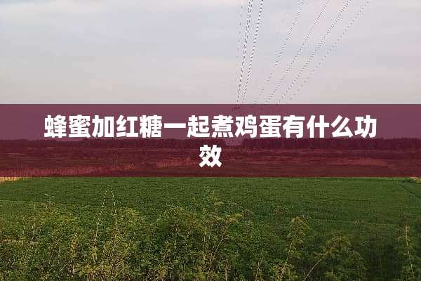 蜂蜜加红糖一起煮鸡蛋有什么功效