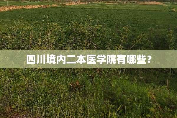 四川境内二本医学院有哪些？
