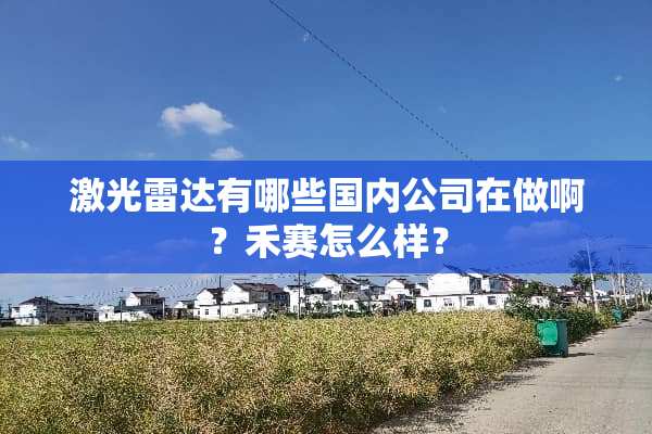 激光雷达有哪些国内公司在做啊？禾赛怎么样？