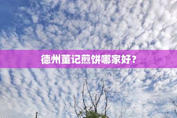 德州董记煎饼哪家好？