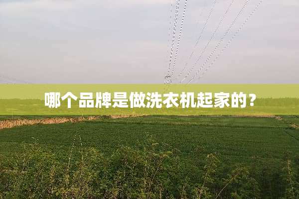哪个品牌是做洗衣机起家的？