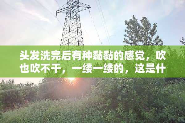头发洗完后有种黏黏的感觉，吹也吹不干，一缕一缕的，这是什么原因？求解决方法？