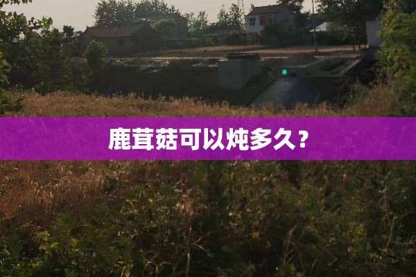 鹿茸菇可以炖多久？