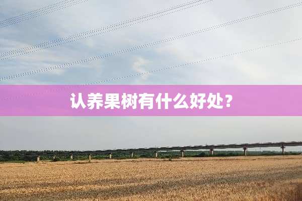 认养果树有什么好处？