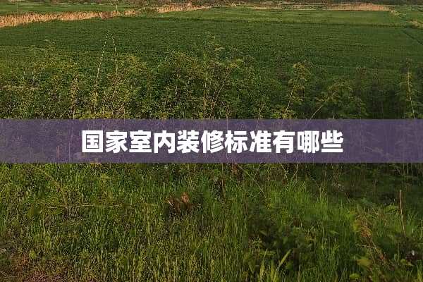 国家室内装修标准有哪些