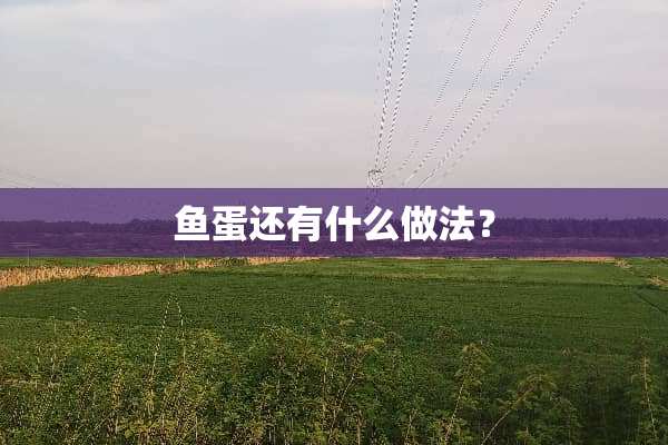 鱼蛋还有什么做法？